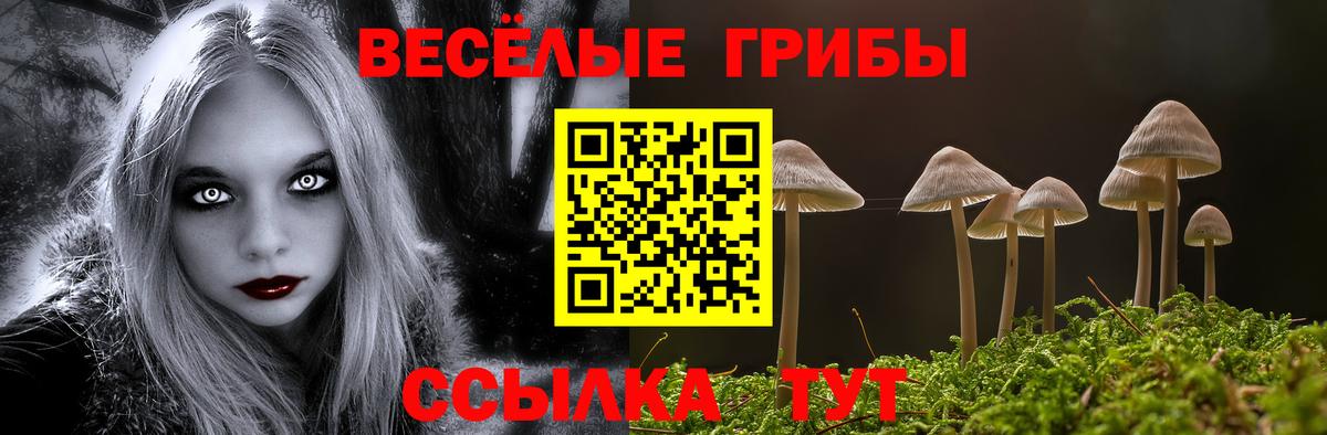 Медногорск  Псилоцибиновые грибы MAGIC MUSHROOMS  Псилоцибиновые грибы MAGIC MUSHROOMS  закладки  Вход с VPN 