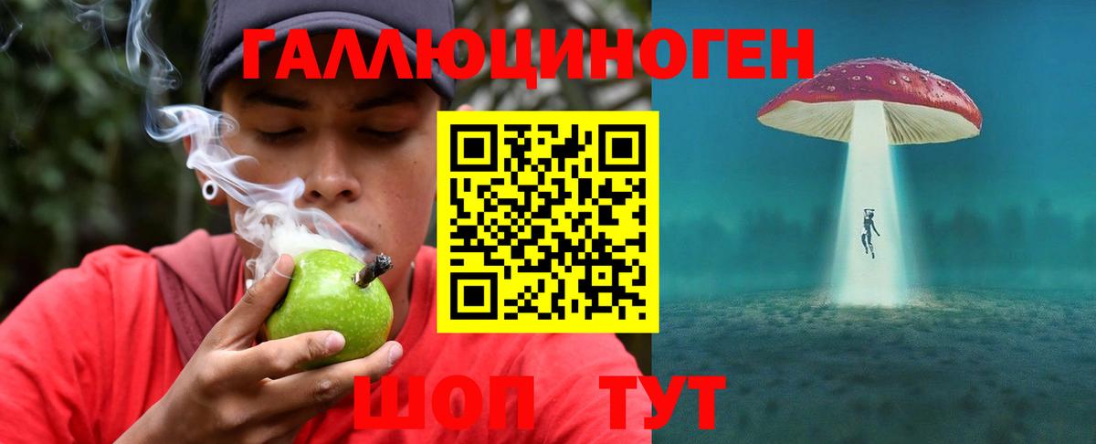 Псилоцибиновые грибы Psilocybine cubensis Медногорск