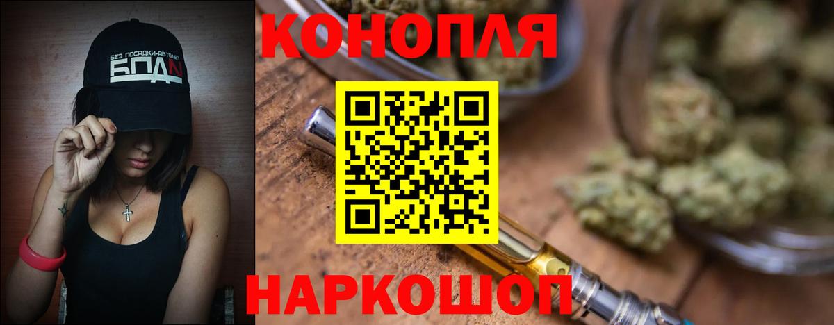 Конопля MAZAR  Бошки марихуана семена  Конопля сатива  Медногорск  Вход с VPN  Каннабис семена 
